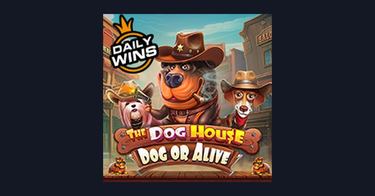 Rasakan Serunya The Dog House Dog Or Alive dengan Daftar & Login Gampang
